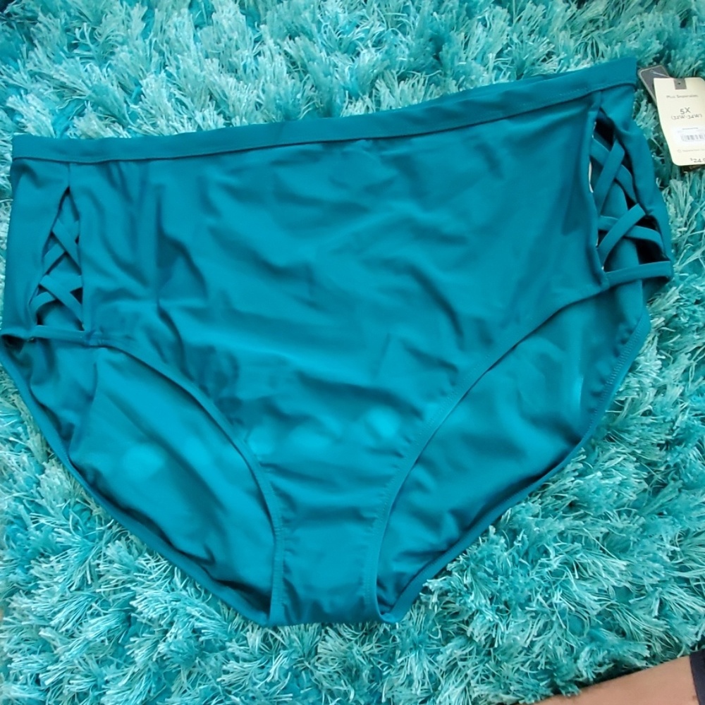 nwt womens 5x real Terra & sky swimsuit bottom